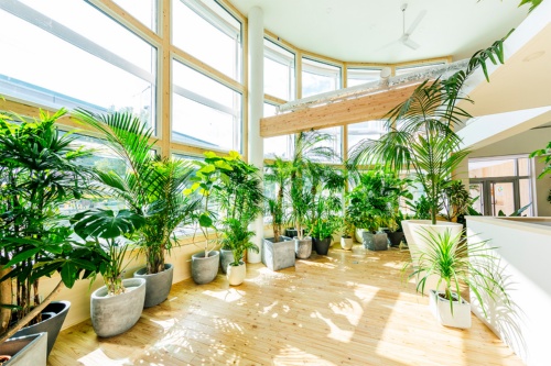 9999js金沙老品牌(中国游)官方网站