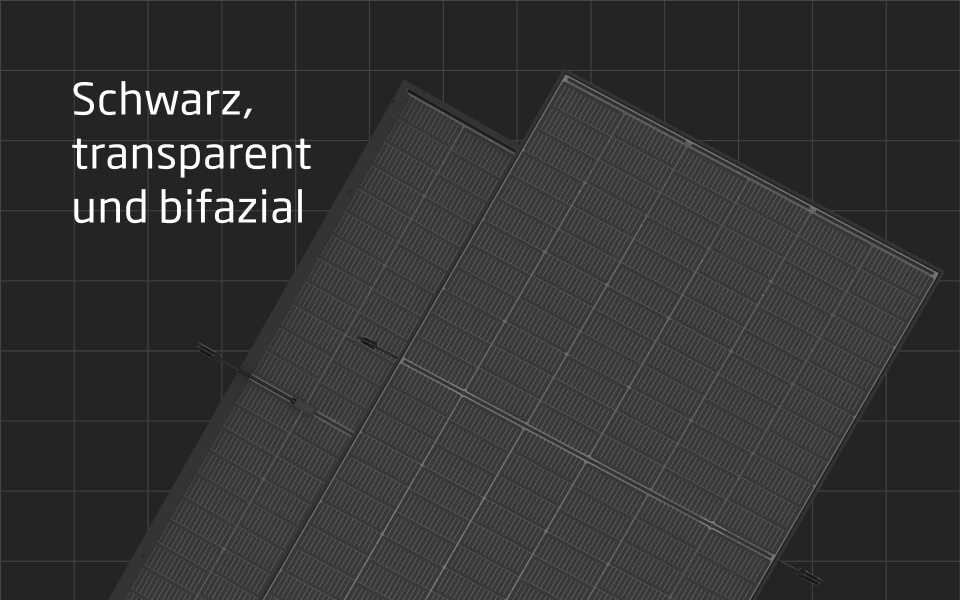 9999js金沙老品牌(中国游)官方网站