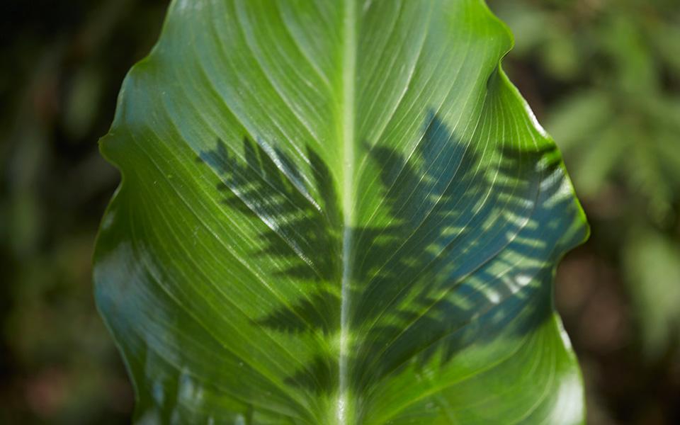 9999js金沙老品牌(中国游)官方网站