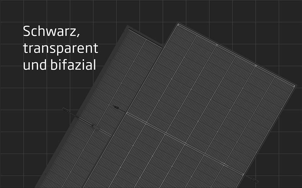 9999js金沙老品牌(中国游)官方网站