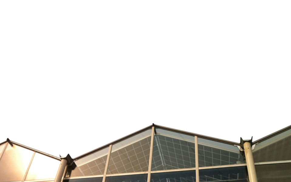 9999js金沙老品牌(中国游)官方网站